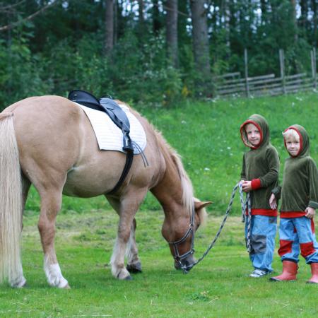 Se större bild